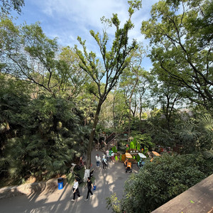 幻想的第一首情歌