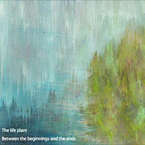 ユメミルサカナ