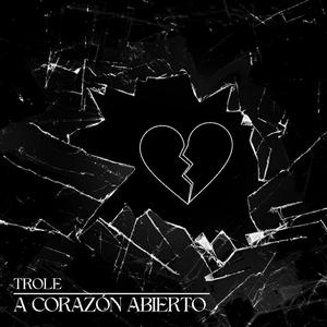 Sentimientos Ocultos (feat. Markii)