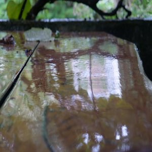 Rich Stars (Instrumental)