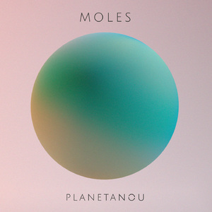 Moles