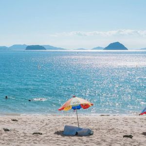 夏天相遇夏天走散