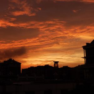 叶落尘街Leafy&Dusty