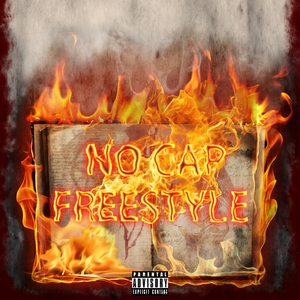 no cap freestyle（PROD BY MEGA)