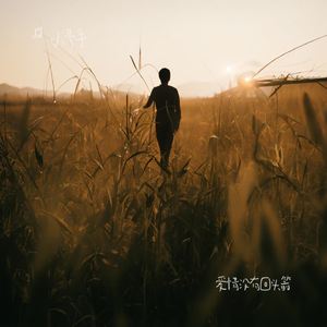 爱情没有回头箭