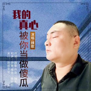 我的真心被你当成傻瓜