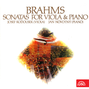 Sonata for Viola and Piano No. 2 in E-Flat Major, Op. 120:III. Andante con moto - Allegro non troppo