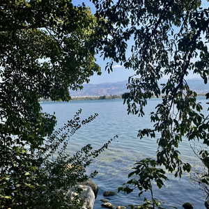 情深深雨濛濛.wav