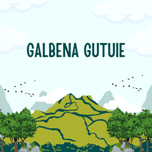 Galbena gutuie