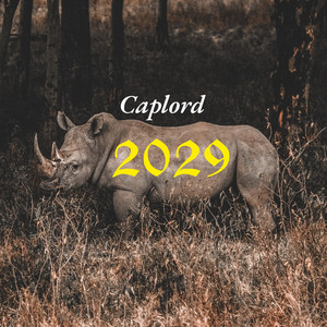 2029