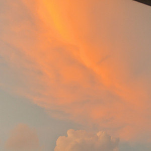 致未寄出的第十二封信