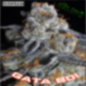 Gelato (Kodak-Remix)