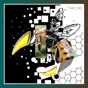 스케일이 남달랐던 땅벌