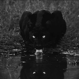 MAKJ-MAKJ amp Henry Fong - Encore（DJ Miko Mix Edit）（Miko remix）