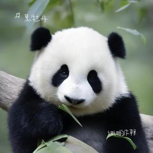 没有彩排的电影