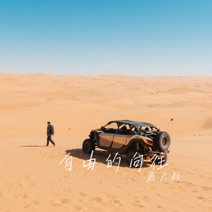 自由的向往