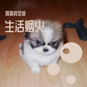 大哥爱你第一首