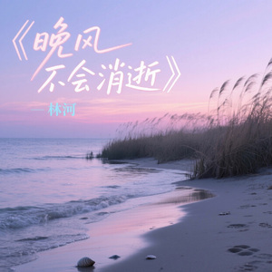 晚风不会消逝