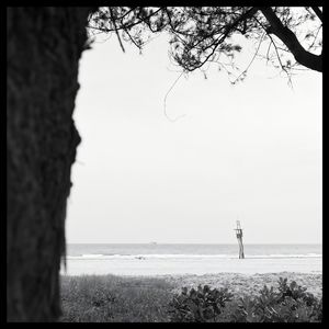 Forgotten Lessons