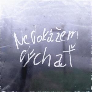 nedokážem dýchať