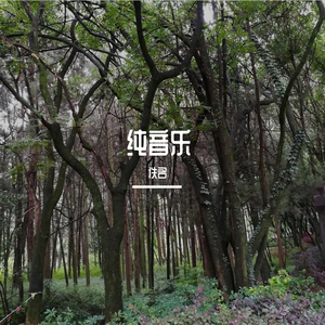 纯音乐