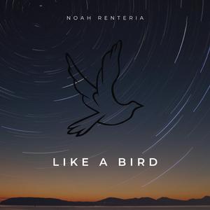 Like A Bird (feat. Noah Renteria)