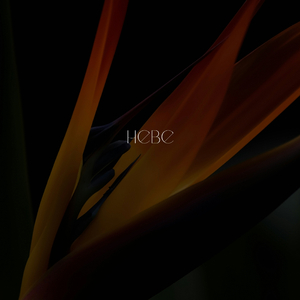 Hebe