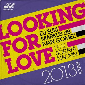 Looking for Love 2013 (Intro Mix)