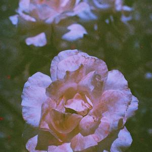 V2 (feat. Fx Prevail)