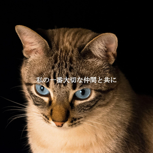 Mysterious Moods for Dining with Co Workers