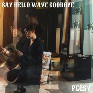 Say Hello, Wave Goodbye