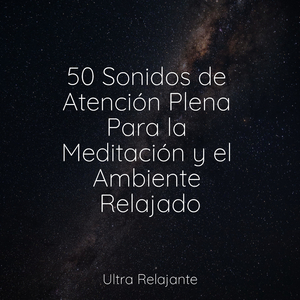 Himnos De La Pasión Por Los Viajes