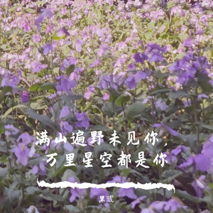 满山遍野未见你，万里星空都是你