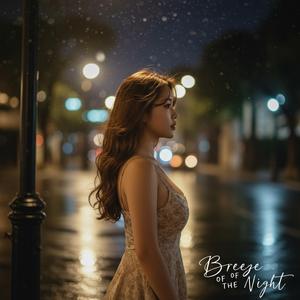 밤바람에 스친 너 (Breeze of the Night)