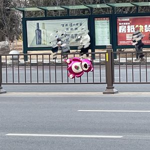 马路中间的草莓熊Prod.金桔0RANG3