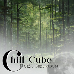 Lazy Shadows on the Porch