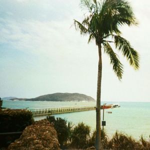 热带季风（pp remix）