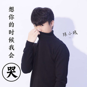 想你的时候我会哭