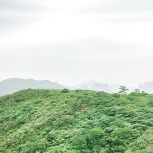 如果在春天里恋爱