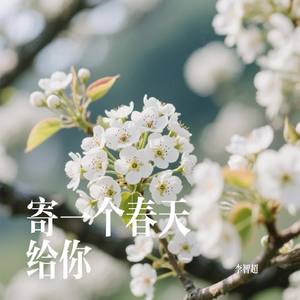 寄一个春天给你