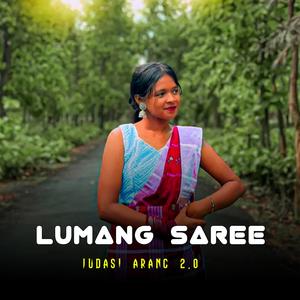 Lumang Saree