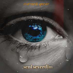 Seni Severdim