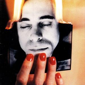 כל אחד והבוב שלו