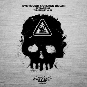 Skylarking (Extended Mix)