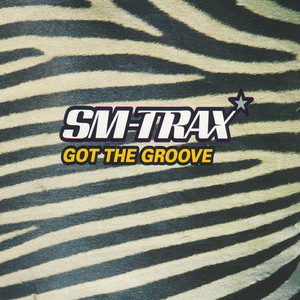 Got the Groove (DJ Tomcraft Mix)