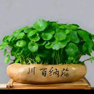 街角的晚风（纯净版）