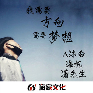 无法替代那最初的情怀(DJ版)