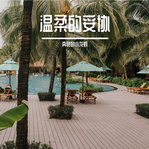 星光照亮前行路