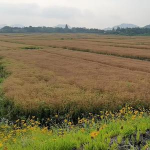 当女孩爱着那个男孩