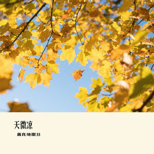 天微凉